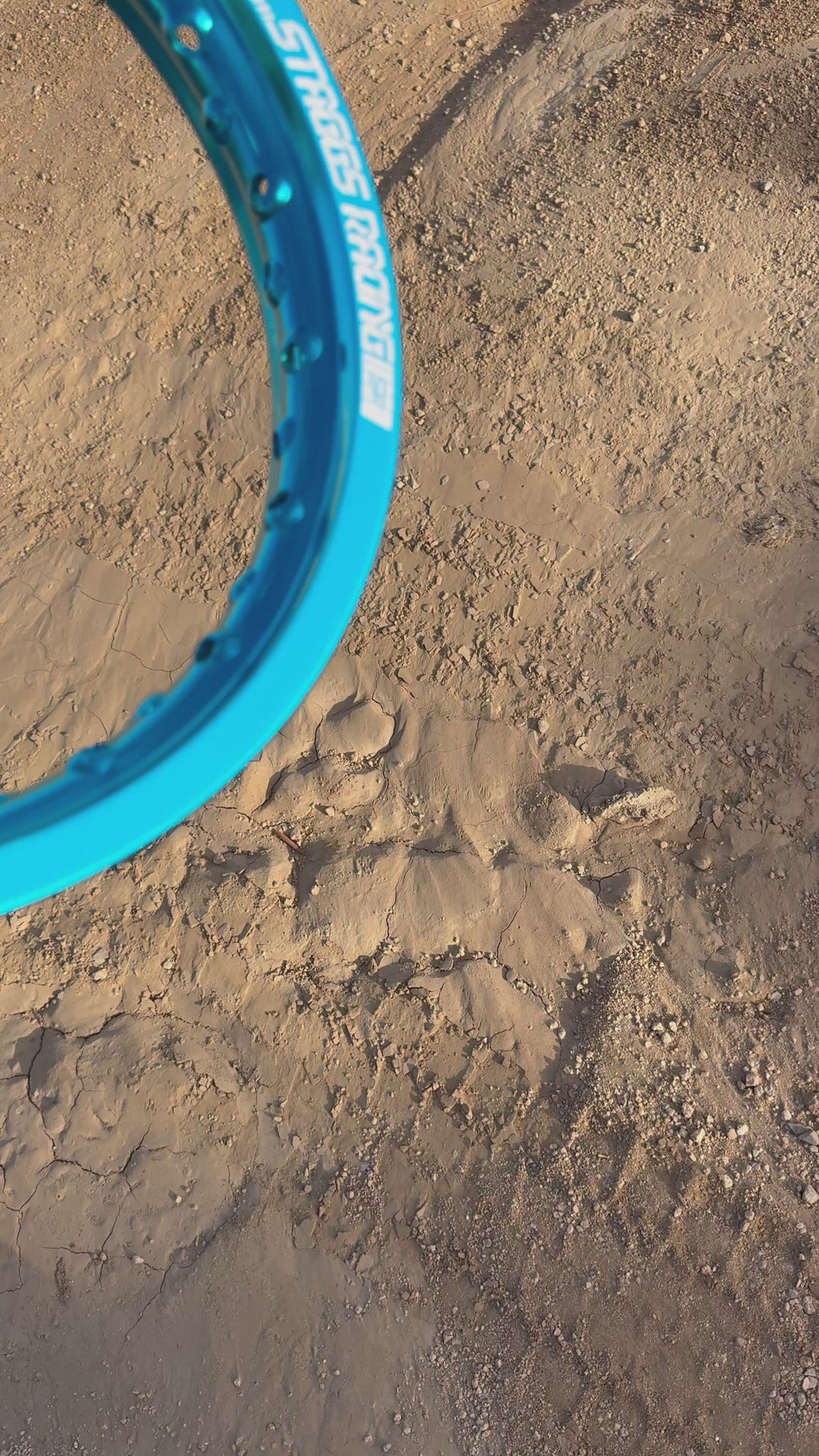 Staggs Racing Heavy duty rims,spokes and nipples CRF110 and CRF70